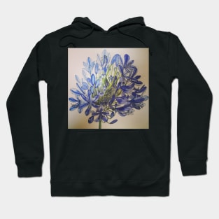 Agapanthus flower watercolour painting Hoodie